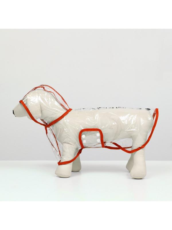 Дождевик для собак, размер M (ДС 26, ОГ 38-41, ОШ 40 см), красный