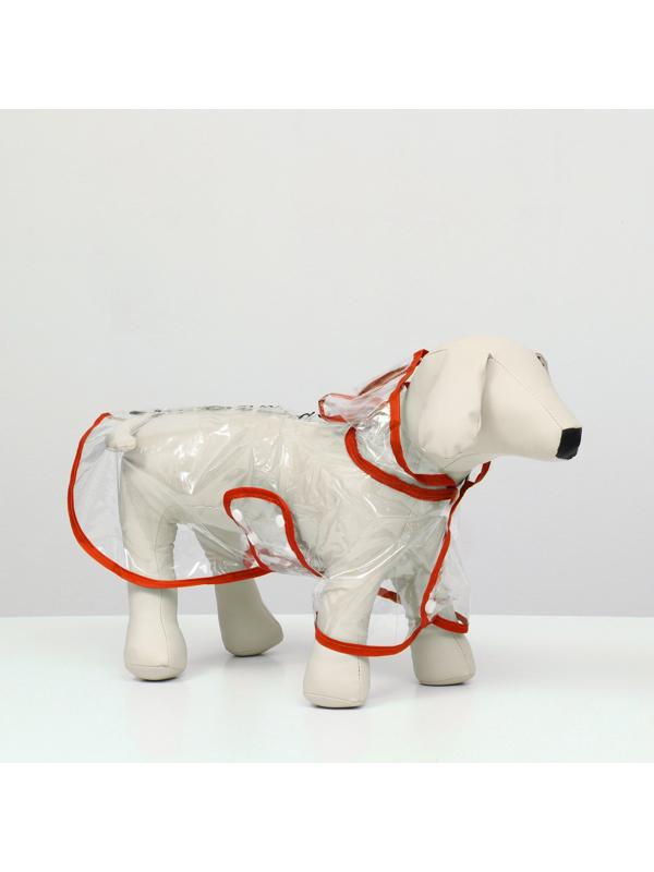 Дождевик для собак, размер M (ДС 26, ОГ 38-41, ОШ 40 см), красный