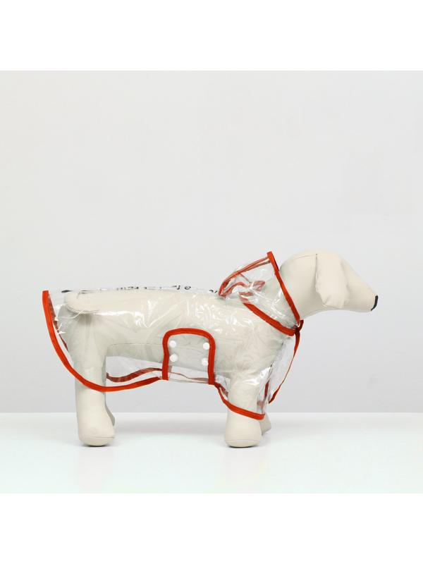 Дождевик для собак, размер M (ДС 26, ОГ 38-41, ОШ 40 см), красный