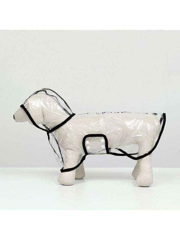 Дождевик для собак, размер S  (ДС 22, ОГ 35-38, ОШ 36 см), чёрный