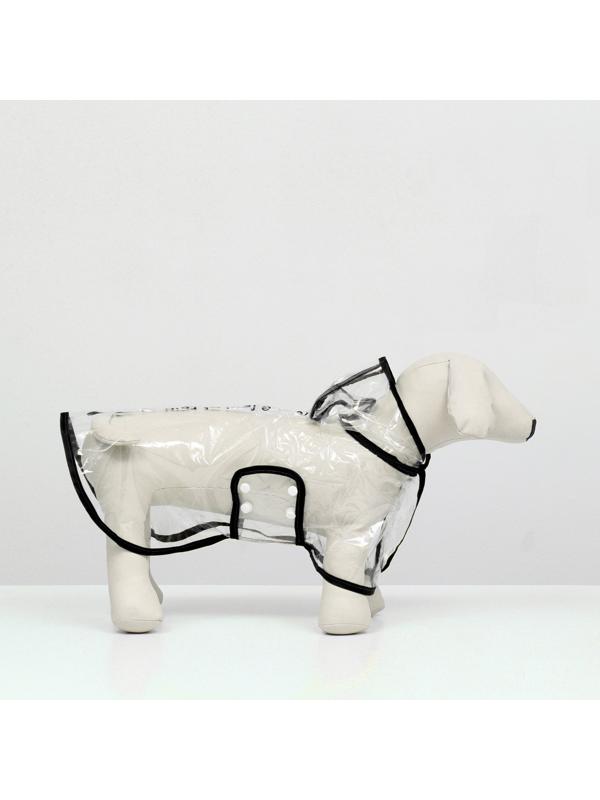 Дождевик для собак, размер S  (ДС 22, ОГ 35-38, ОШ 36 см), чёрный