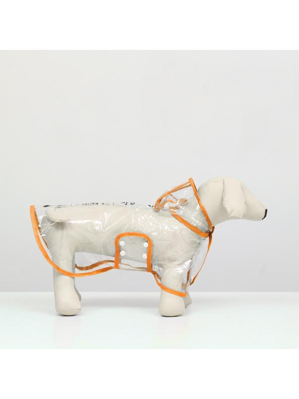 Дождевик для собак, размер S  (ДС 22, ОГ 35-38, ОШ 36 см), оранжевый