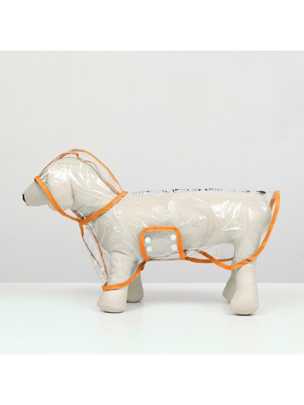 Дождевик для собак, размер S  (ДС 22, ОГ 35-38, ОШ 36 см), оранжевый