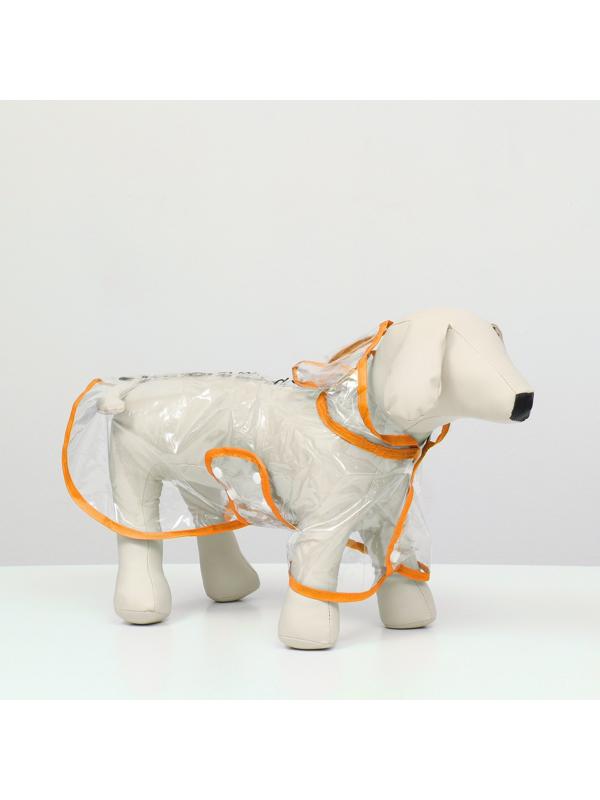 Дождевик для собак, размер S  (ДС 22, ОГ 35-38, ОШ 36 см), оранжевый