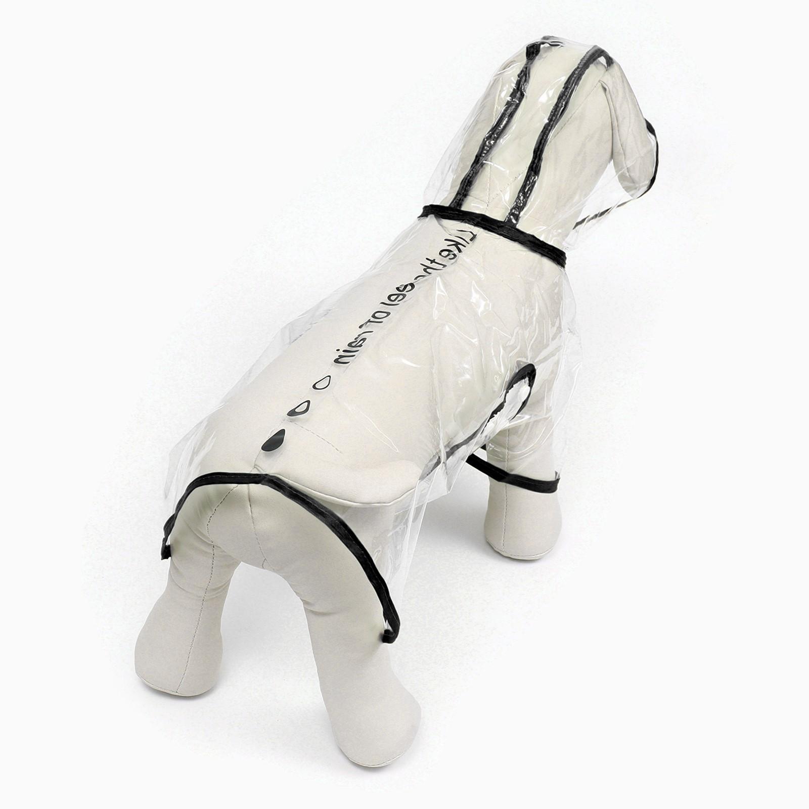 Дождевик для собак, размер XL (ДС 35, ОГ 46-50, ОШ 45 см), чёрный