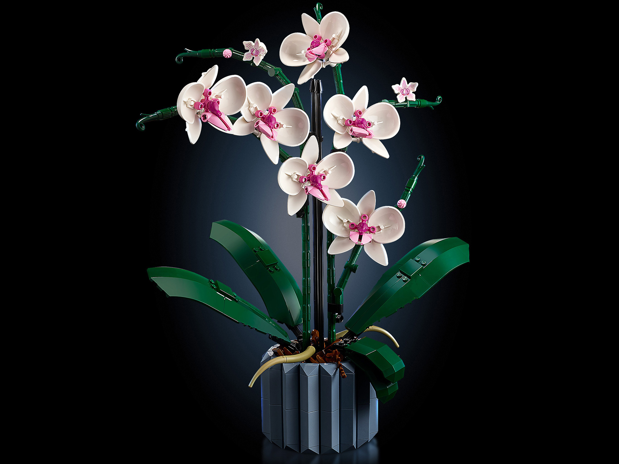 Конструктор «Орхидея» 6208 (Creator Expert 10311) / 608 деталей