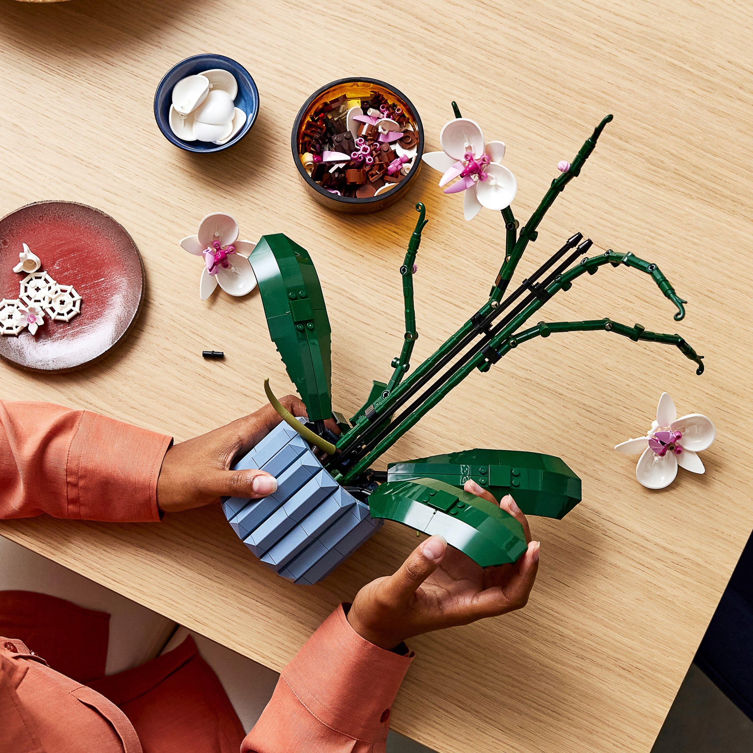 Конструктор «Орхидея» 6208 (Creator Expert 10311) / 608 деталей