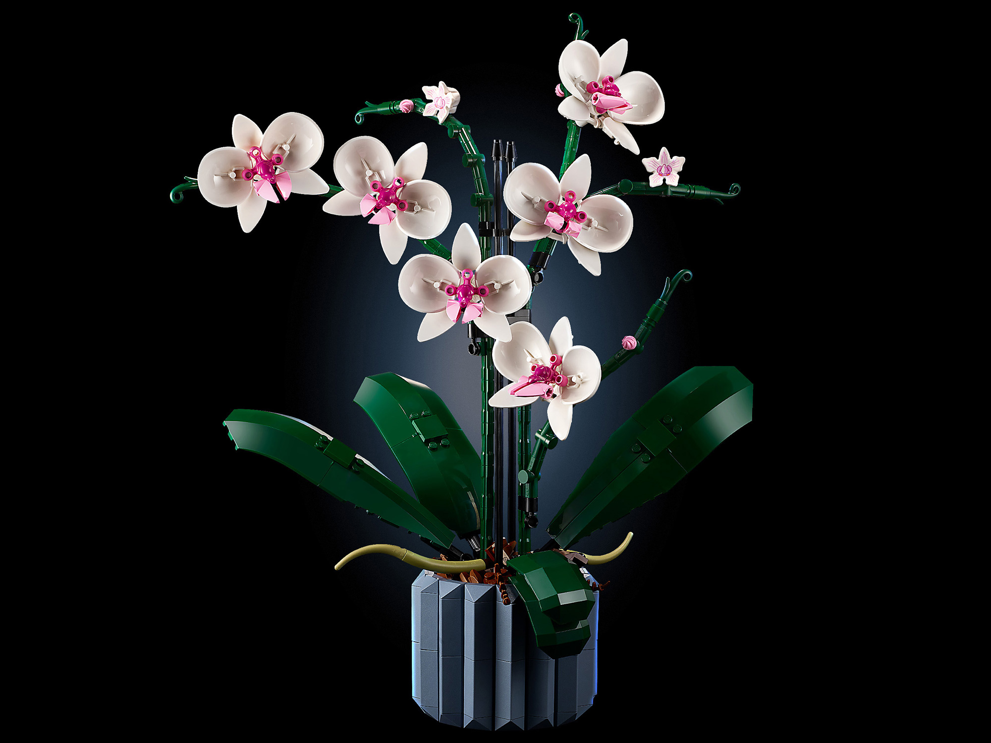 Конструктор «Орхидея» 6208 (Creator Expert 10311) / 608 деталей