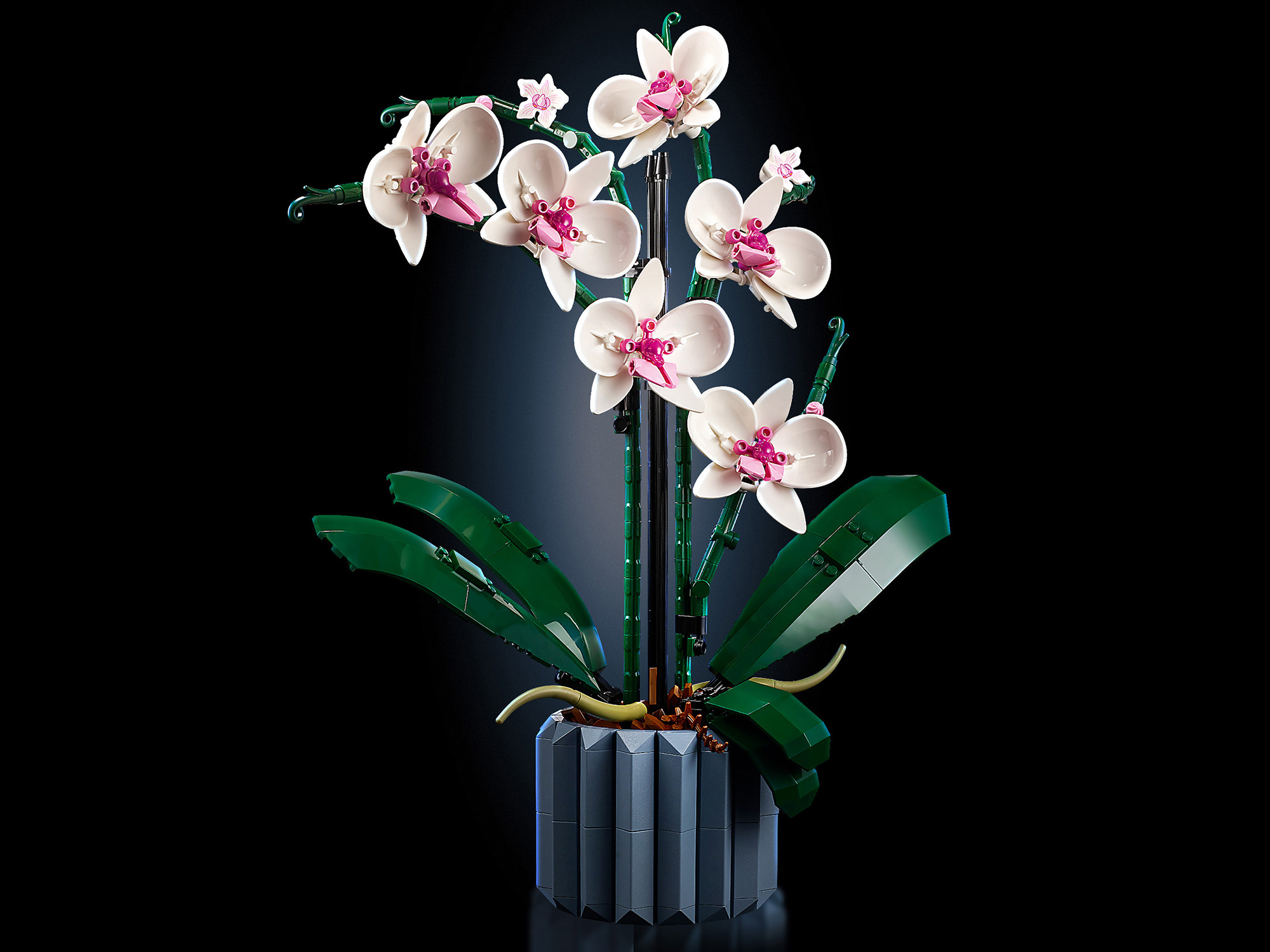 Конструктор «Орхидея» 6208 (Creator Expert 10311) / 608 деталей