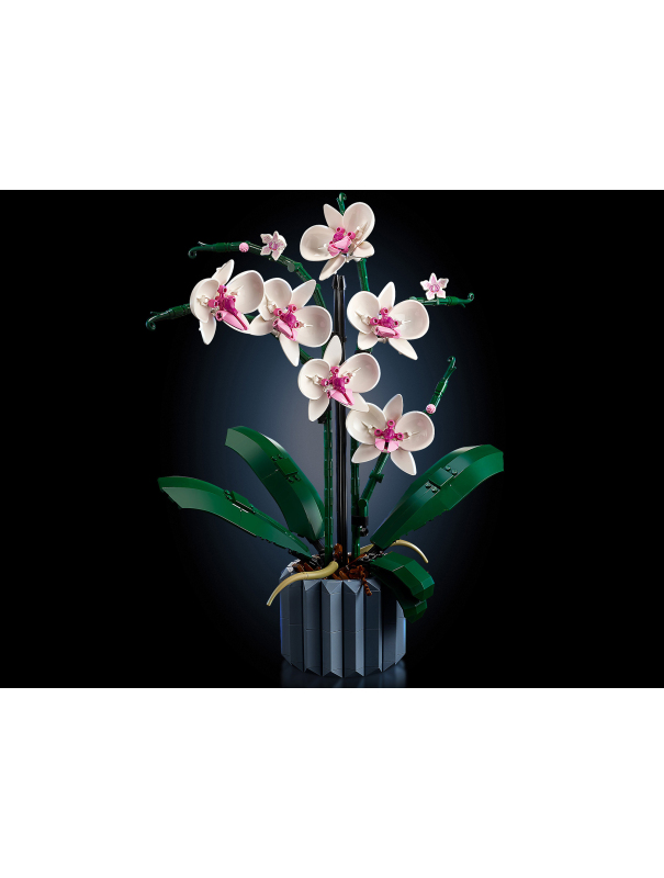 Конструктор «Орхидея» 6208 (Creator Expert 10311) / 608 деталей