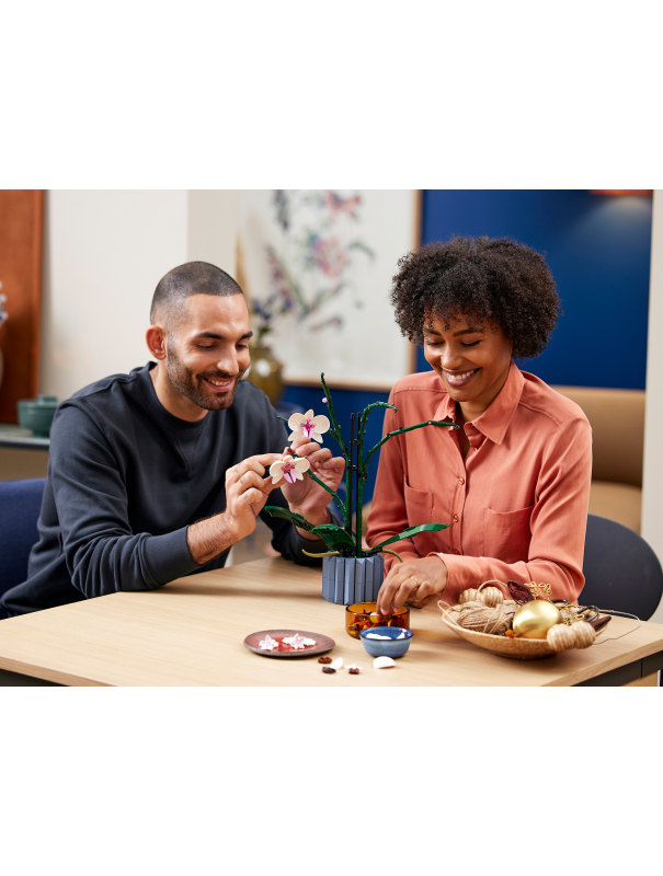 Конструктор «Орхидея» 6208 (Creator Expert 10311) / 608 деталей