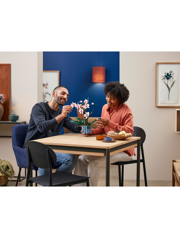 Конструктор «Орхидея» 6208 (Creator Expert 10311) / 608 деталей