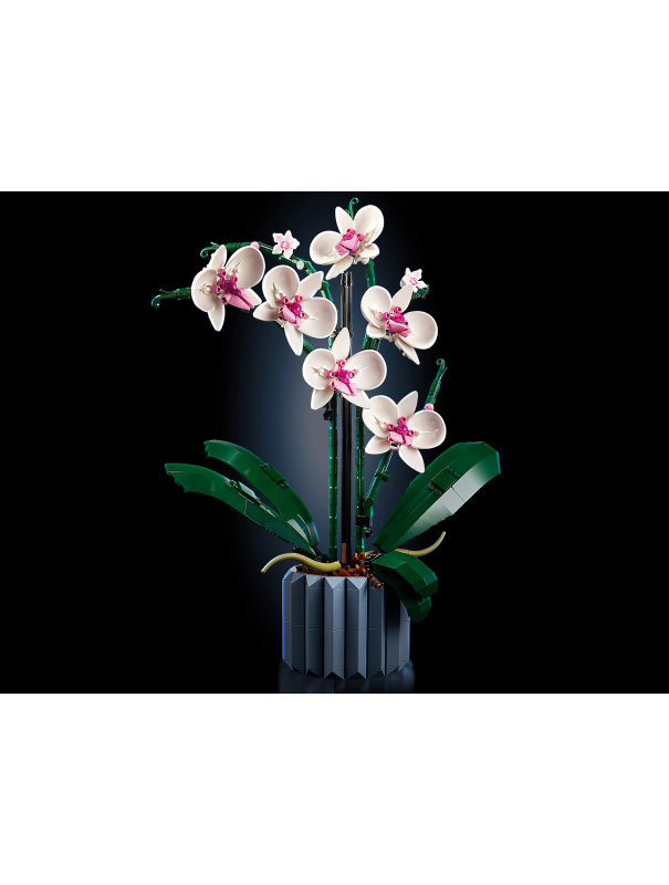 Конструктор «Орхидея» 6208 (Creator Expert 10311) / 608 деталей