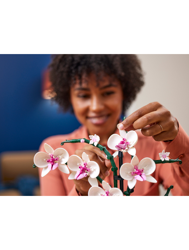 Конструктор «Орхидея» 6208 (Creator Expert 10311) / 608 деталей