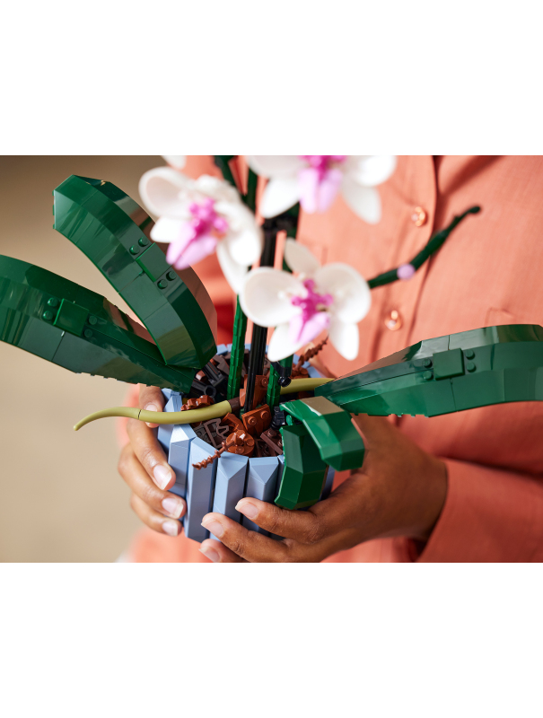 Конструктор «Орхидея» 6208 (Creator Expert 10311) / 608 деталей