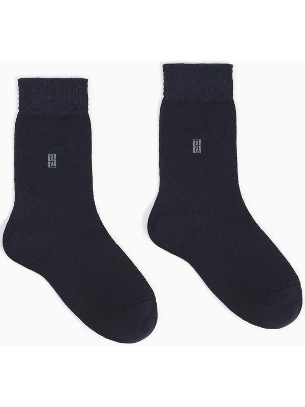 Носки мужские, цвет тёмно-синий, размер 25