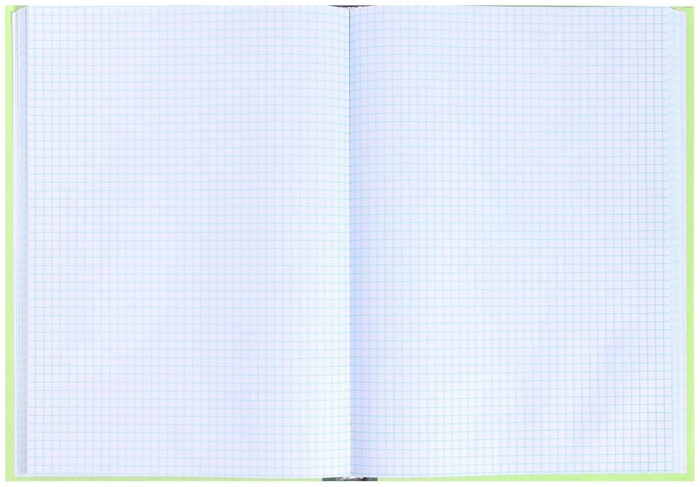 Книга учета, 128 листов, обложка картон 7Б, блок ОФСЕТ, клетка, цвет зеленый (имитация)