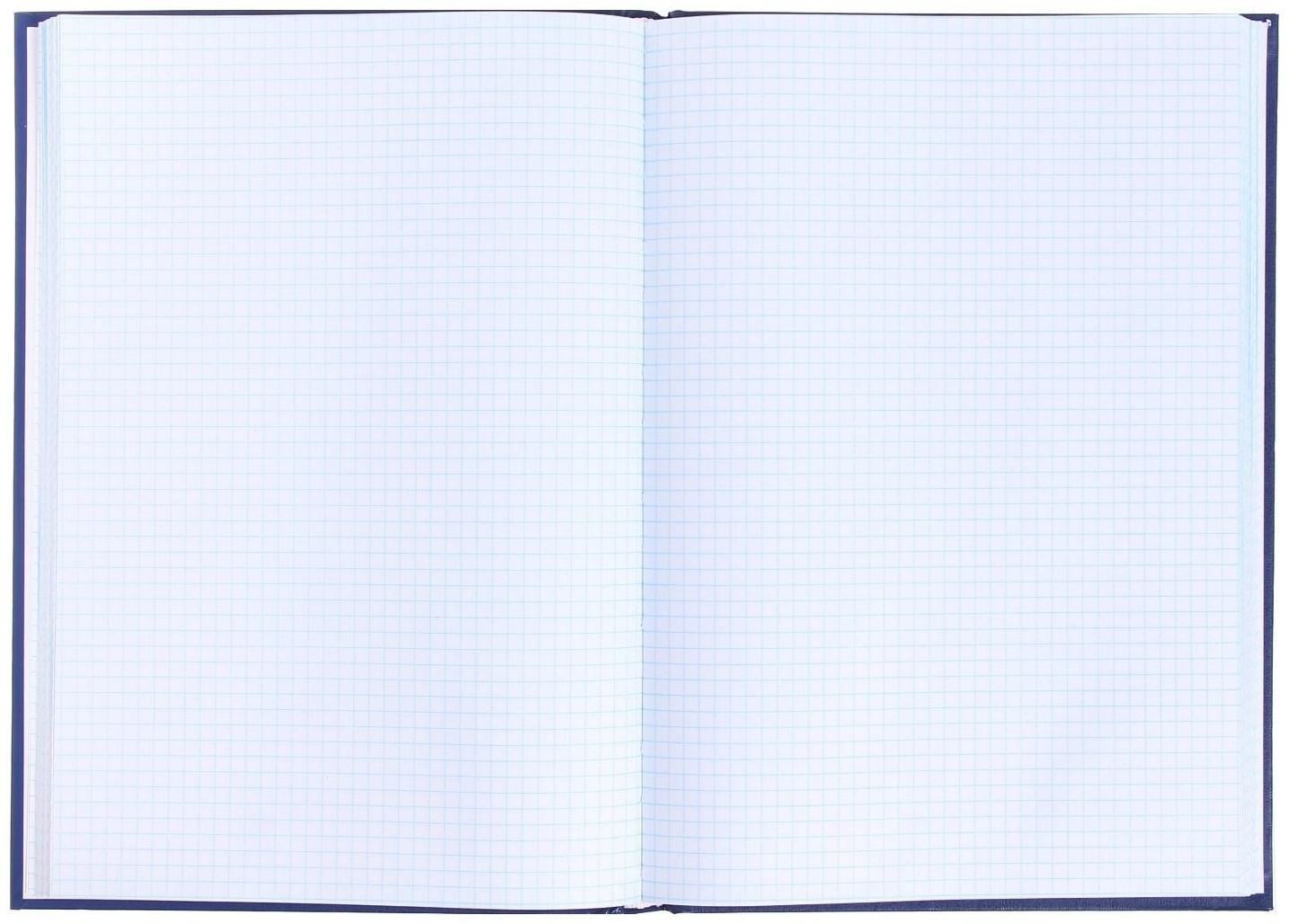 Книга учета, 144 листа, обложка бумвинил, блок ОФСЕТ, клетка, цвет синий, НАКЛЕЙКА