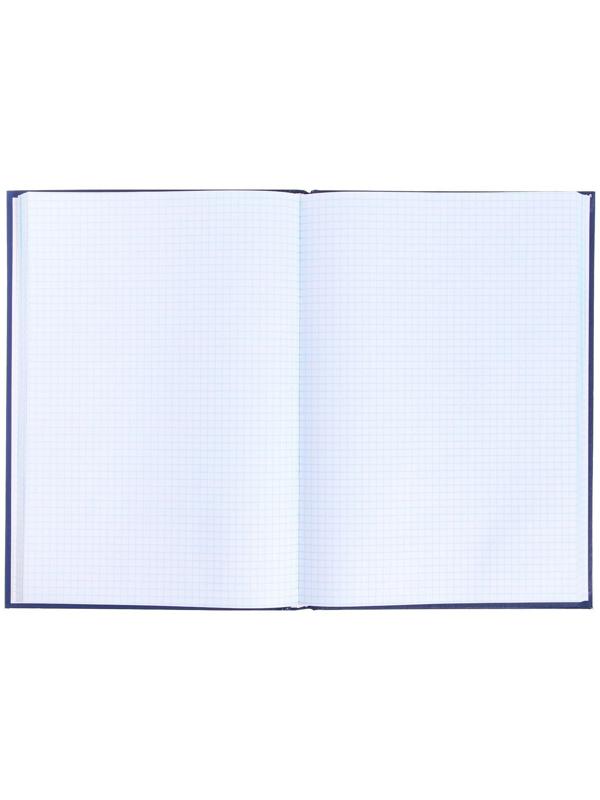 Книга учета, 144 листа, обложка бумвинил, блок ОФСЕТ, клетка, цвет синий, НАКЛЕЙКА