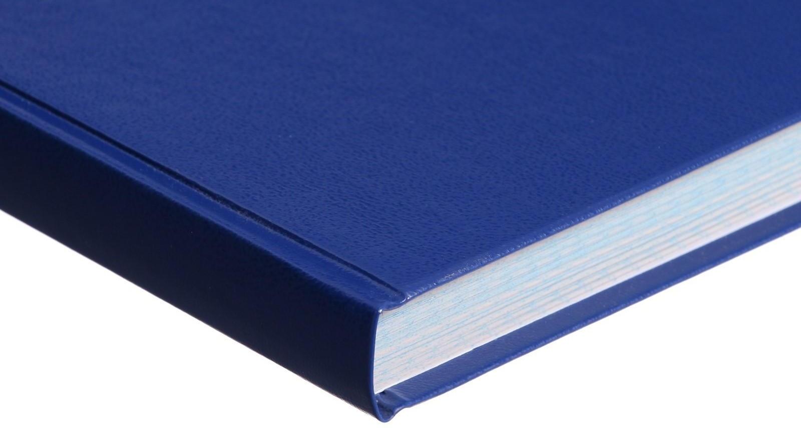 Книга учета, 192 листа, обложка бумвинил, блок ГАЗЕТНЫЙ, клетка, цвет синий