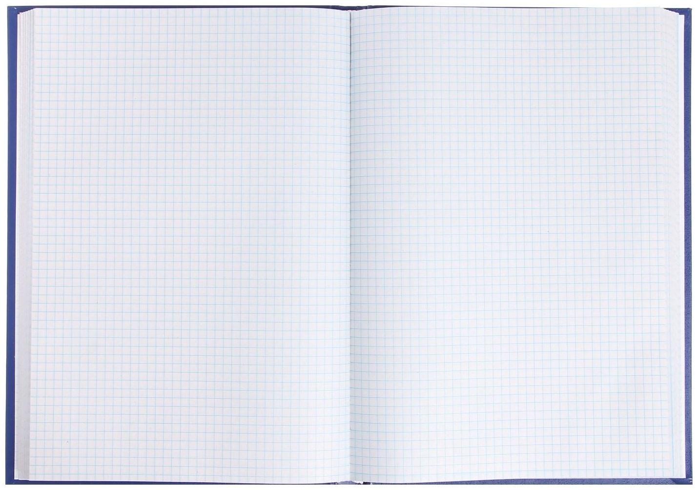 Книга учета, 192 листа, обложка бумвинил, блок ГАЗЕТНЫЙ, клетка, цвет синий