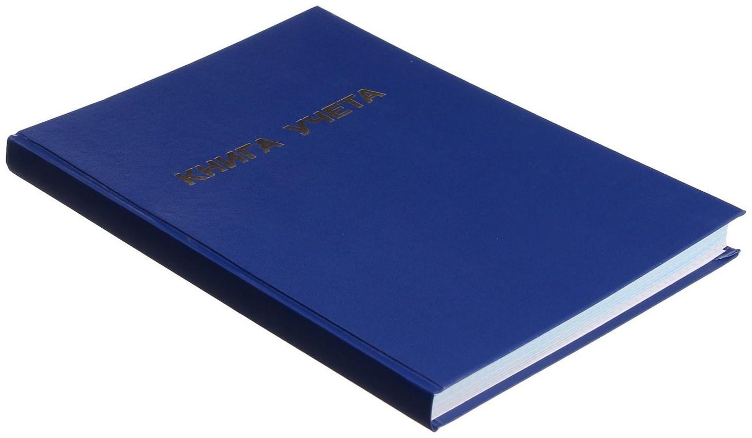 Книга учета, 192 листа, обложка бумвинил, блок ГАЗЕТНЫЙ, клетка, цвет синий