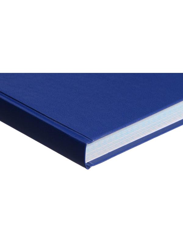 Книга учета, 192 листа, обложка бумвинил, блок ГАЗЕТНЫЙ, клетка, цвет синий