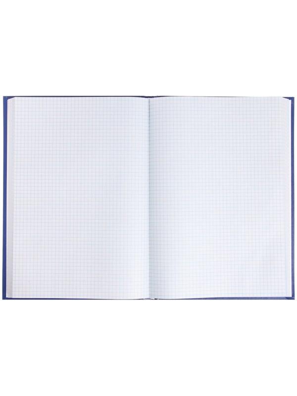 Книга учета, 192 листа, обложка бумвинил, блок ГАЗЕТНЫЙ, клетка, цвет синий