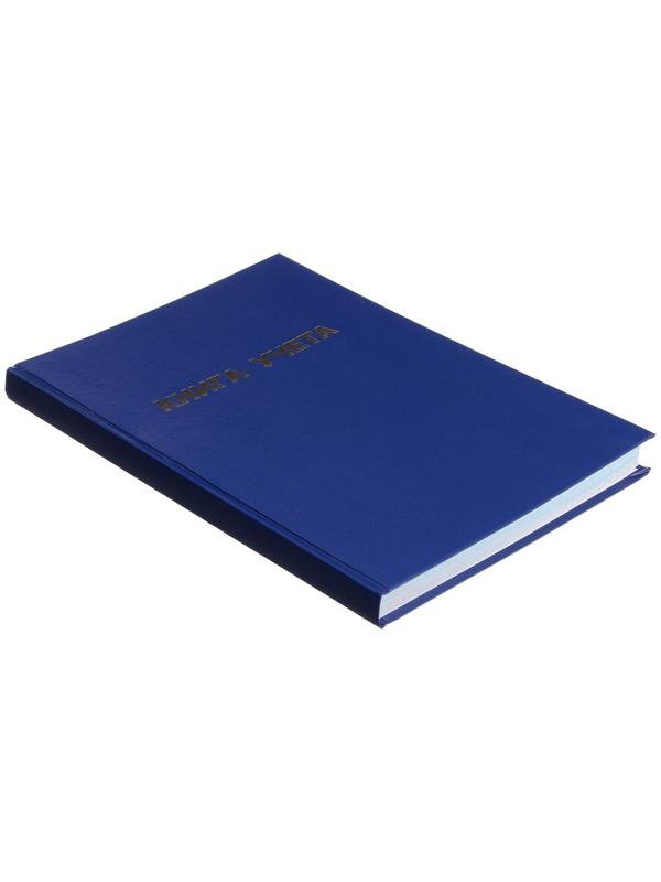 Книга учета, 192 листа, обложка бумвинил, блок ГАЗЕТНЫЙ, клетка, цвет синий