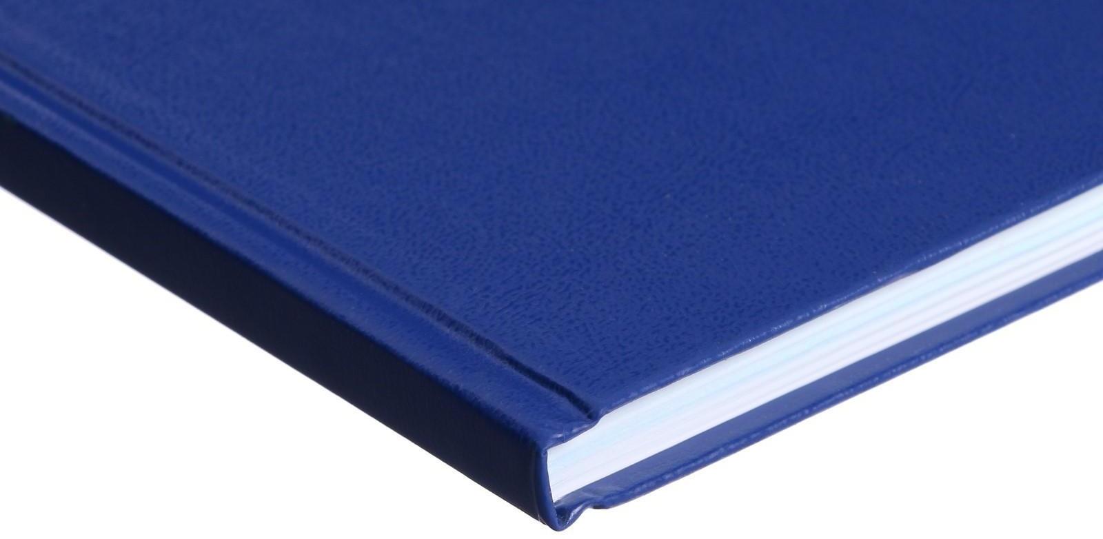 Книга учета, 96 листов, обложка бумвинил, блок ОФСЕТ, линия, цвет синий