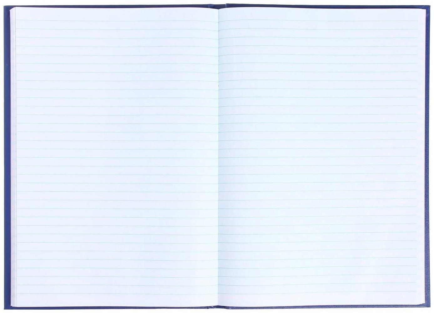 Книга учета, 96 листов, обложка бумвинил, блок ОФСЕТ, линия, цвет синий