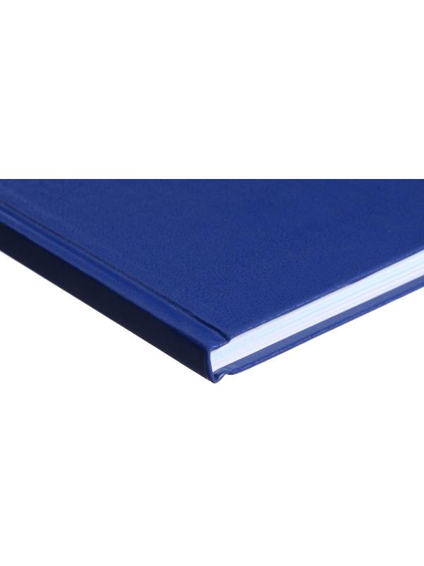 Книга учета, 96 листов, обложка бумвинил, блок ОФСЕТ, линия, цвет синий