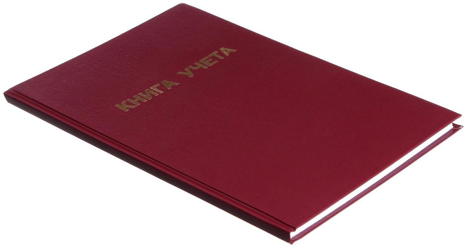 Книга учета, 96 листов, обложка бумвинил, блок ОФСЕТ, клетка, цвет бордовый