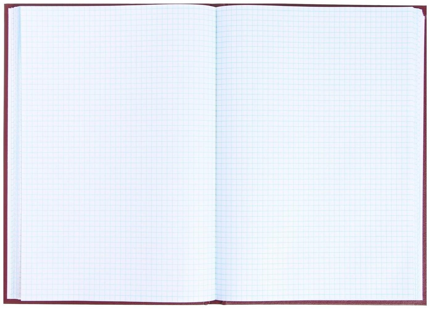 Книга учета, 96 листов, обложка бумвинил, блок ОФСЕТ, клетка, цвет бордовый