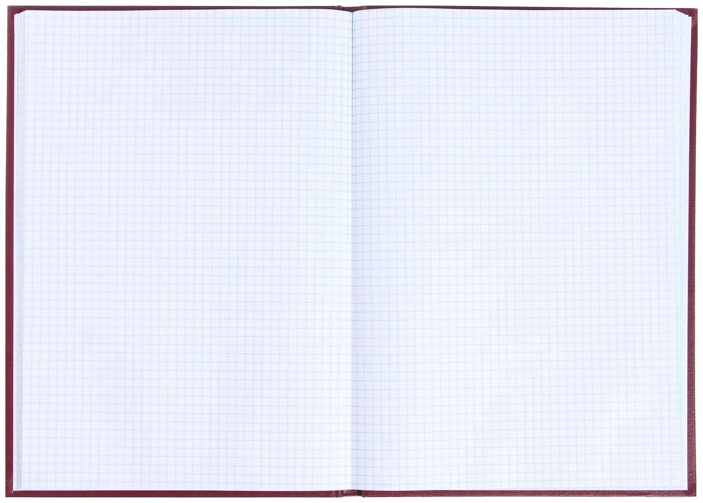 Книга учета, 96 листов, обложка бумвинил, блок ОФСЕТ, клетка, цвет бордовый, ГЕРБ (тиснение золотой фольгой)