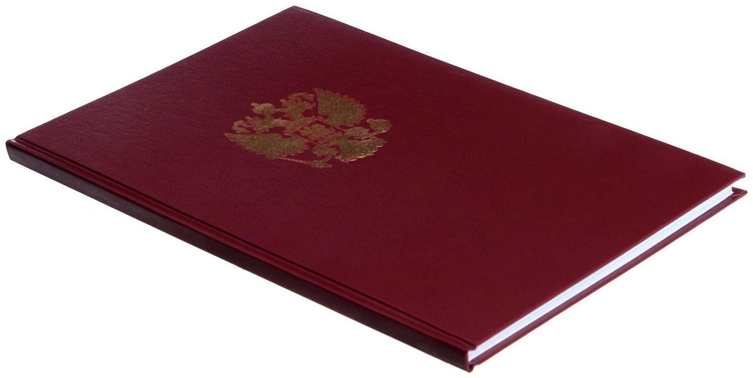 Книга учета, 96 листов, обложка бумвинил, блок ОФСЕТ, клетка, цвет бордовый, ГЕРБ (тиснение золотой фольгой)
