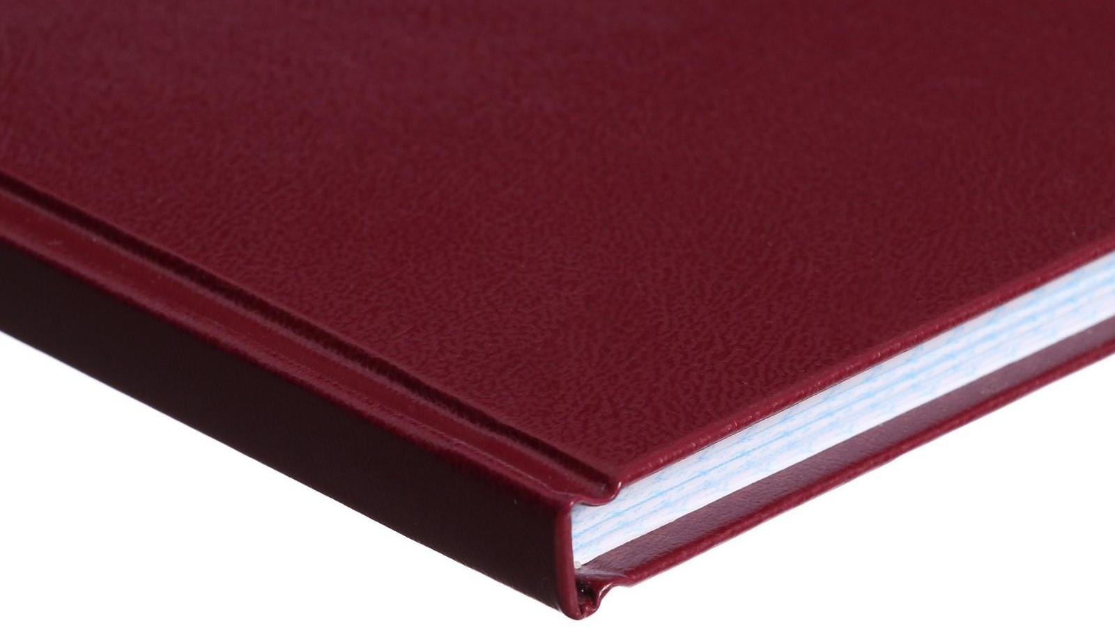 Книга учета, 96 листов, обложка бумвинил, блок ОФСЕТ, клетка, цвет бордовый, ГЕРБ (тиснение золотой фольгой)