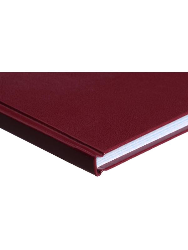 Книга учета, 96 листов, обложка бумвинил, блок ОФСЕТ, клетка, цвет бордовый, ГЕРБ (тиснение золотой фольгой)