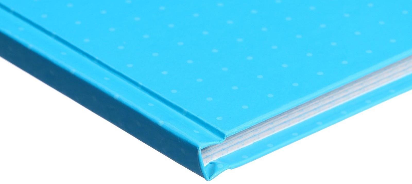 Книга учета, 96 листов, обложка картон 7БЦ, блок ГАЗЕТНЫЙ, клетка, цвет синий