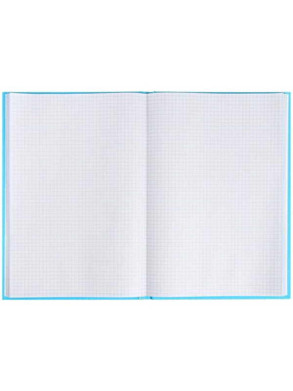 Книга учета, 96 листов, обложка картон 7БЦ, блок ГАЗЕТНЫЙ, клетка, цвет синий