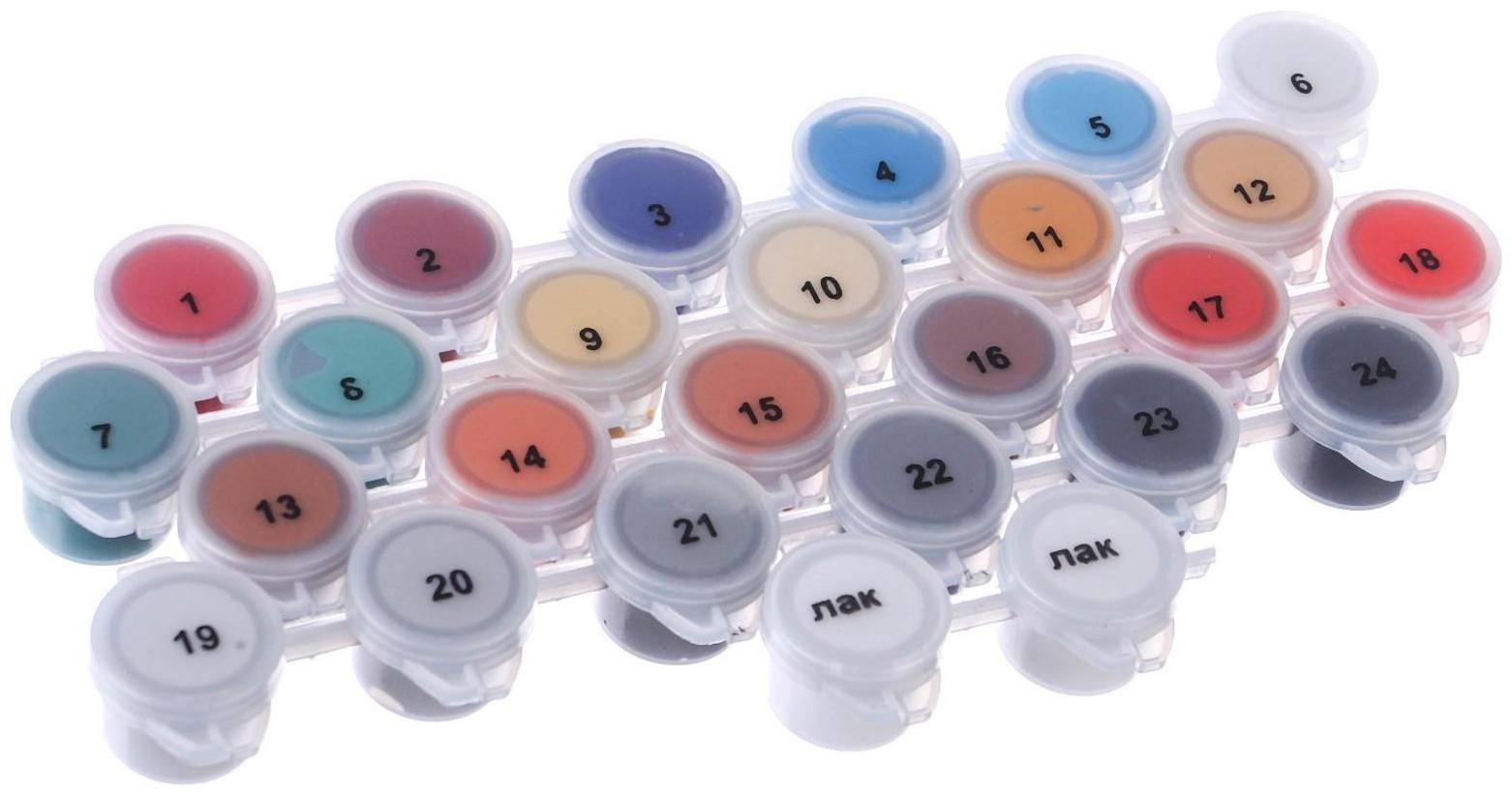 Картина по номерам в плёнке, Скрудж 30х40 см