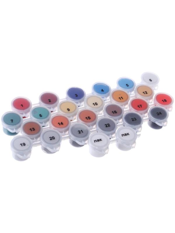 Картина по номерам в плёнке, Скрудж 30х40 см