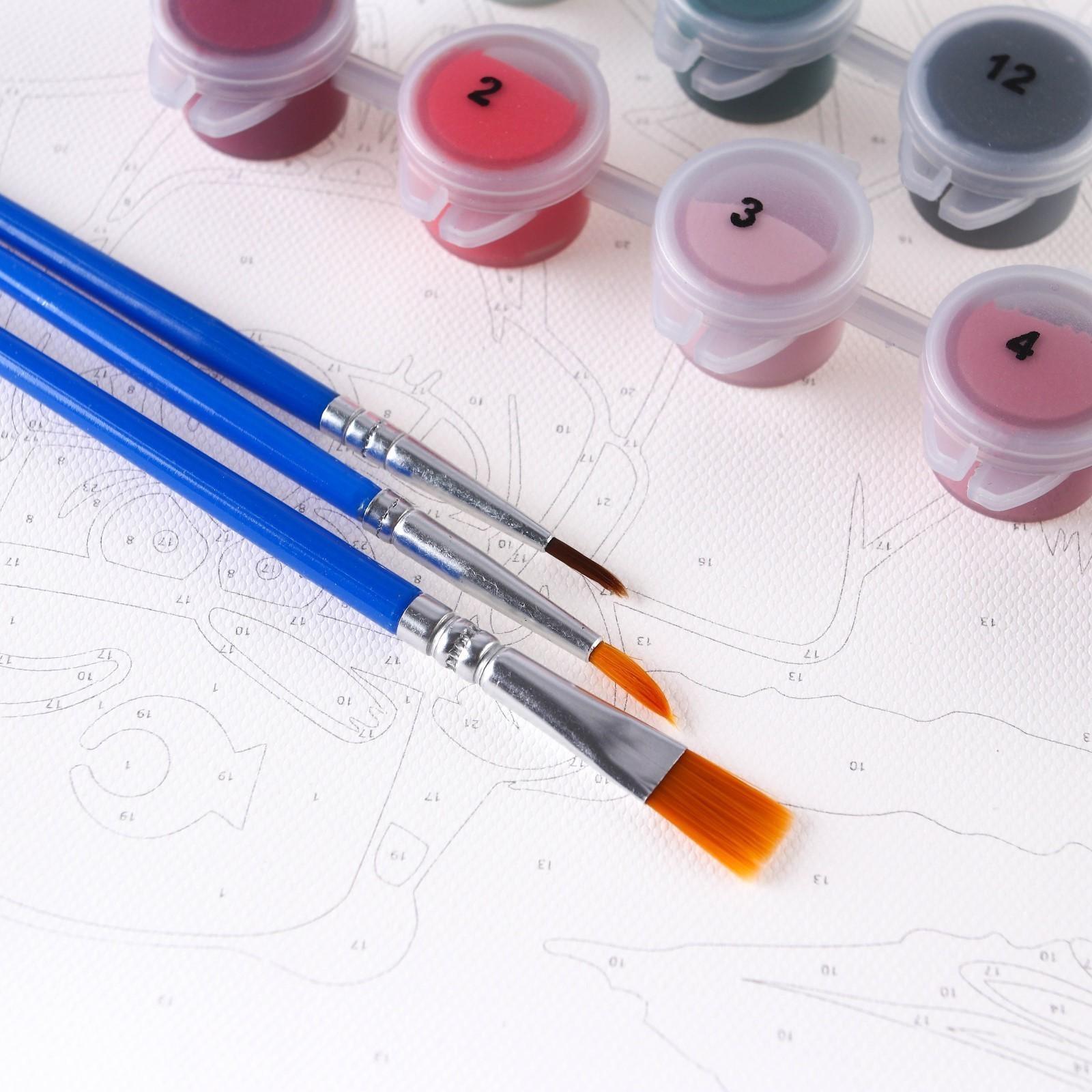 Картина по номерам в плёнке 