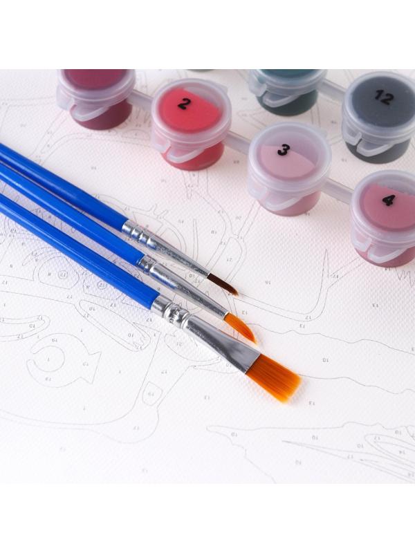 Картина по номерам в плёнке 