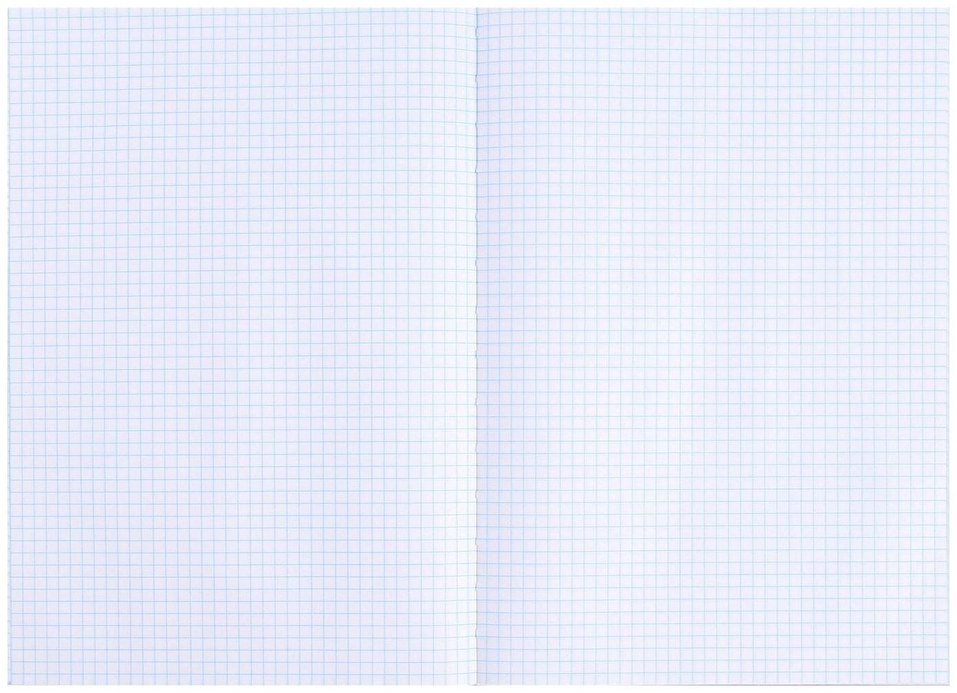 Книга учета, 96 листов, обложка бумвинил, блок ОФСЕТ, клетка, цвет черный