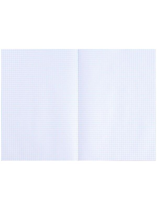 Книга учета, 96 листов, обложка бумвинил, блок ОФСЕТ, клетка, цвет черный