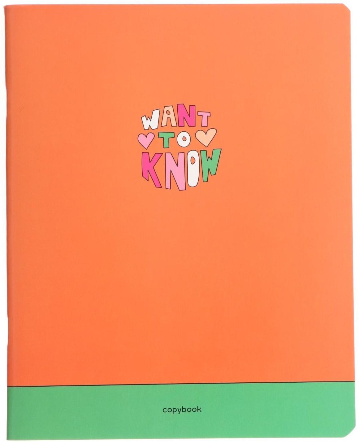 Тетрадь А5 48 листов в клетку BG 