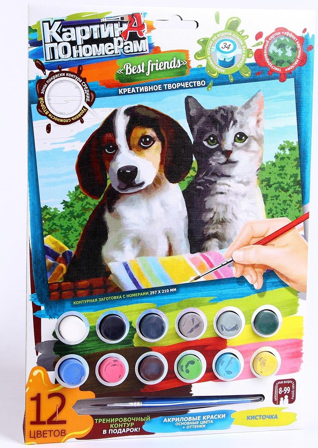 Набор для творчества «Картина по номерам. Котик и собачка» 21,5 × 1,5 × 32 см