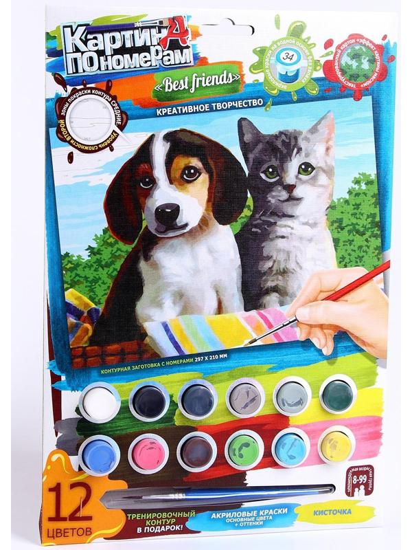 Набор для творчества «Картина по номерам. Котик и собачка» 21,5 × 1,5 × 32 см