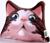Антистресс подушка «Удивлённый кот»